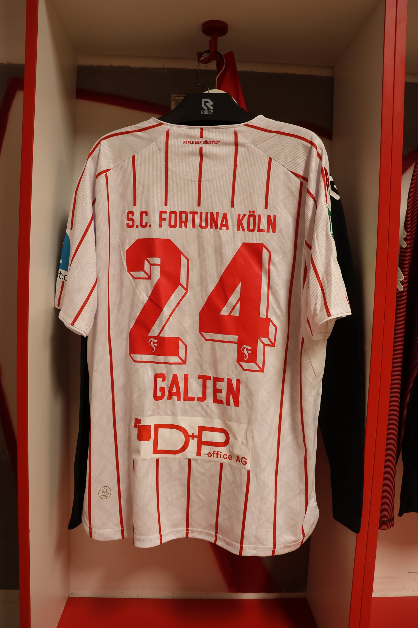 Spielertrikot Dejan Galjen