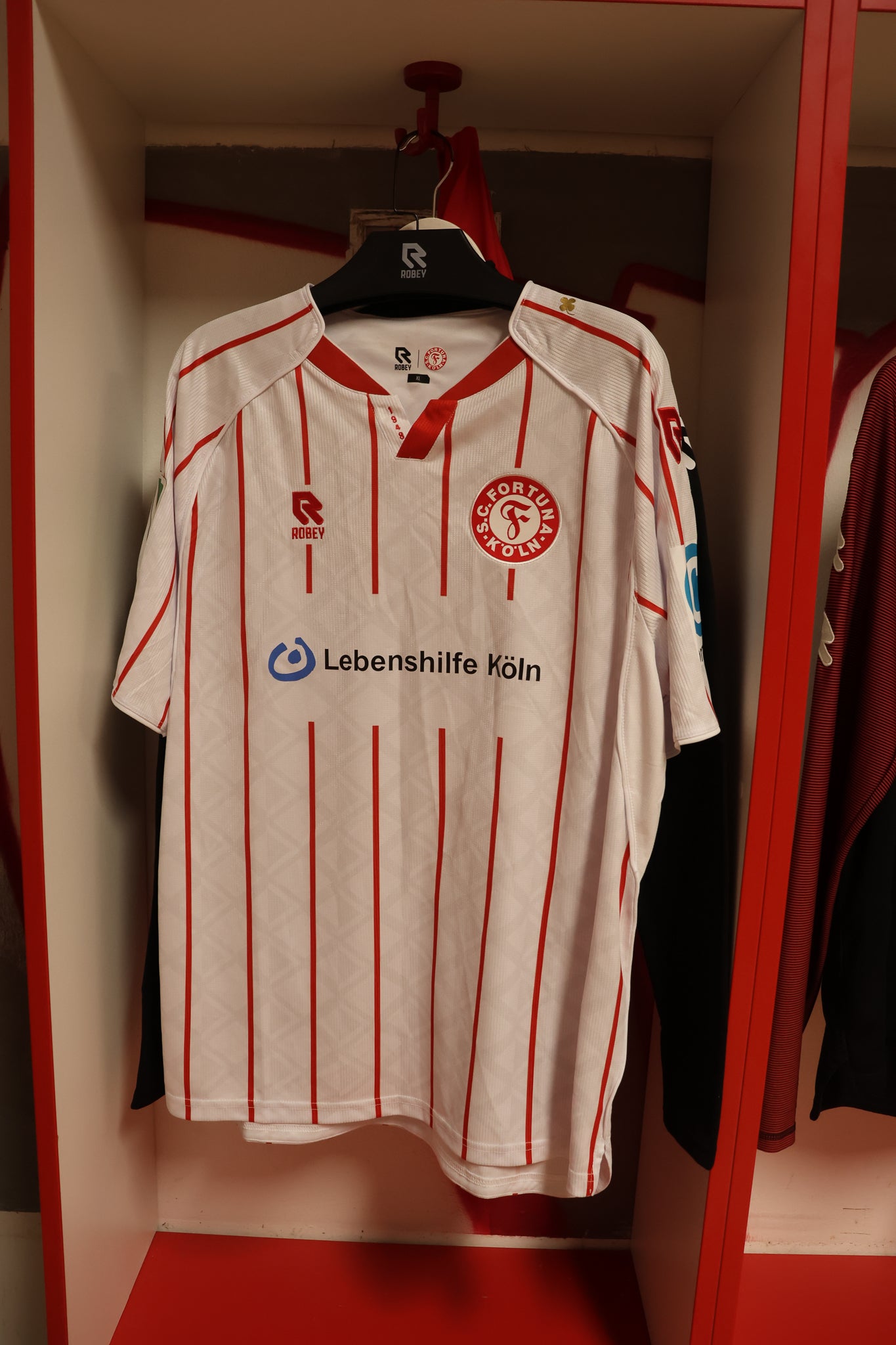 Spielertrikot Dejan Galjen