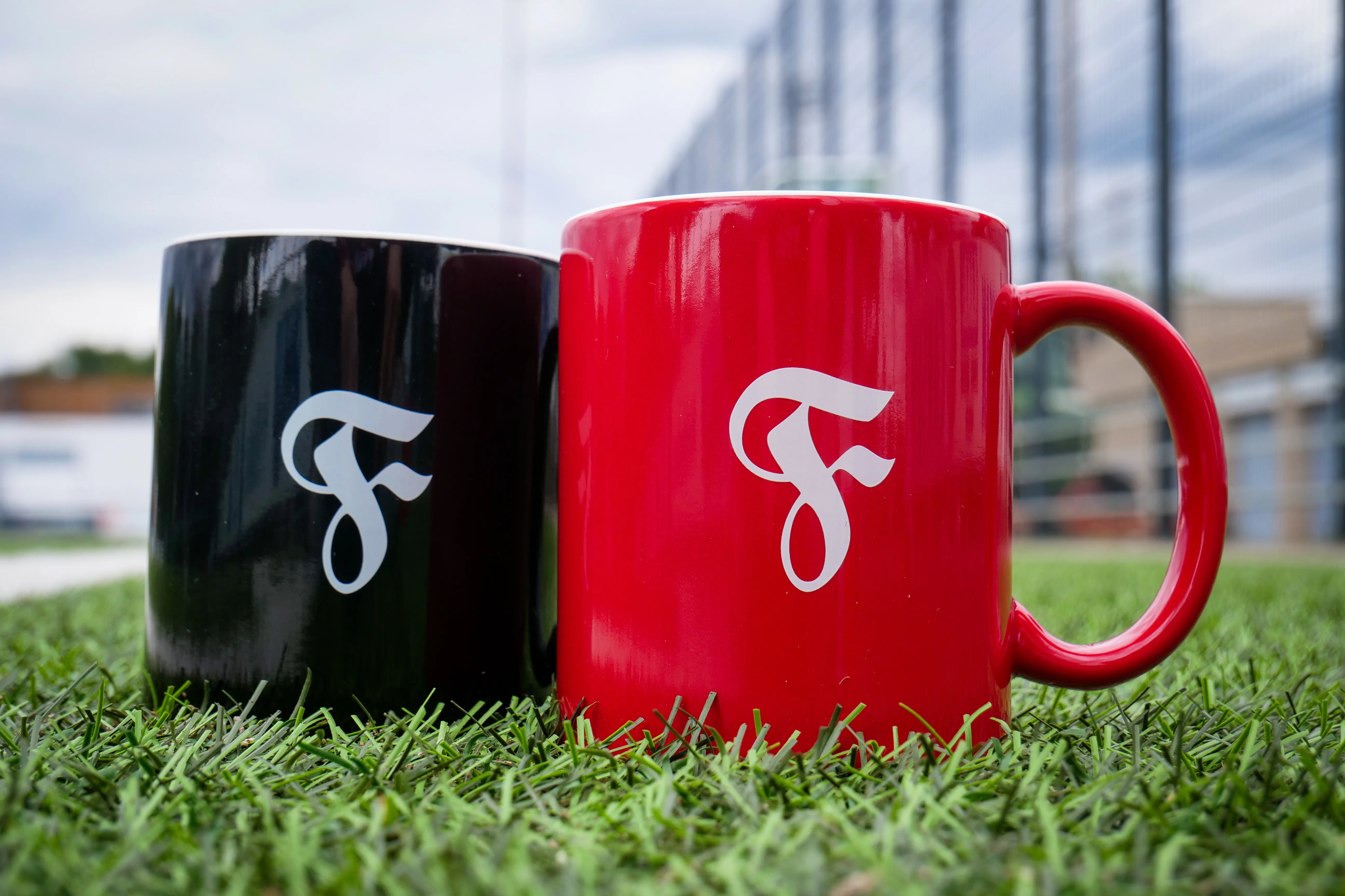 Tasse F